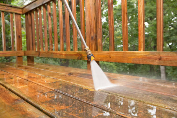Best Fence Cleaning  in Upper Grand Lagoon, FL